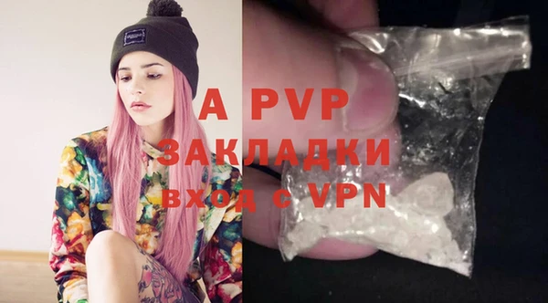 индика Аркадак