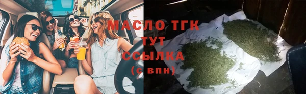 гидра Арсеньев