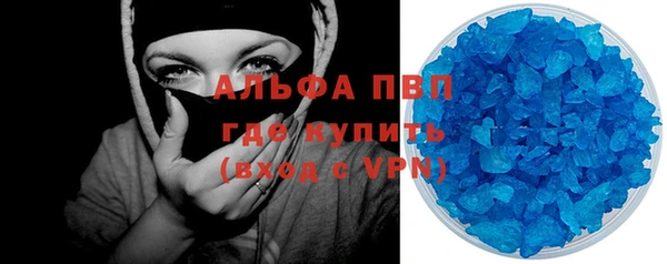 индика Аркадак