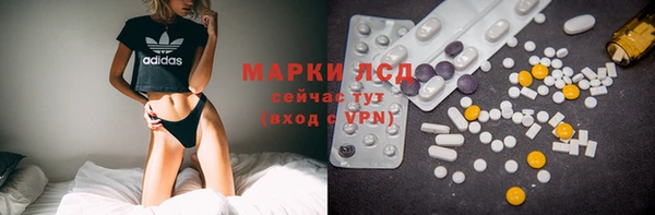 индика Аркадак
