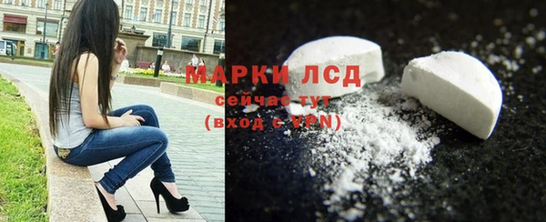индика Аркадак