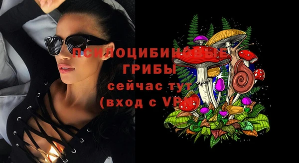 PSILOCYBIN Алексеевка
