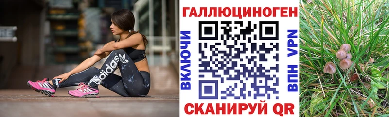 Псилоцибиновые грибы Psilocybine cubensis  Арск 